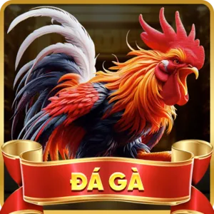 Mã hóa dữ liệu JN88